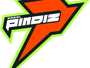 Rawalpindi Pindiz cricket team logo